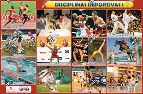 [LAM-185] LAM-185 | Disciplinas Deportivas 1